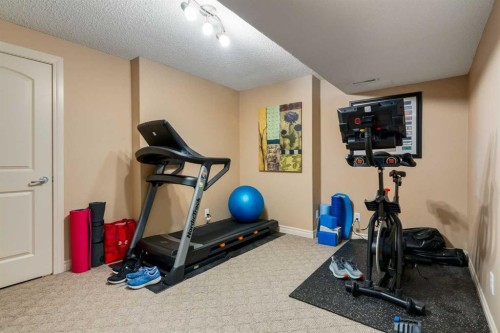 195 Willowmere Close, Chestermere, AB - Indoor Photo Showing Gym Room
