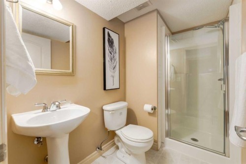 195 Willowmere Close, Chestermere, AB - Indoor Photo Showing Bathroom