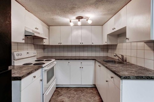 1163 Falworth Road Ne, Calgary, AB - Indoor Photo Showing Kitchen