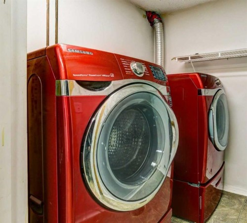 1163 Falworth Road Ne, Calgary, AB - Indoor Photo Showing Laundry Room