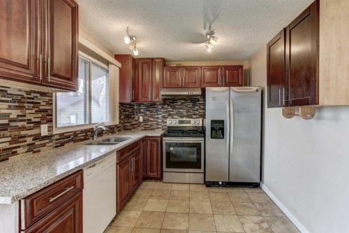 1163 Falworth Road Ne, Calgary, AB - Indoor Photo Showing Kitchen With Double Sink