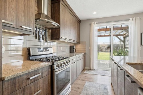296 Walden Parade Se, Calgary, AB - Indoor Photo Showing Kitchen With Upgraded Kitchen
