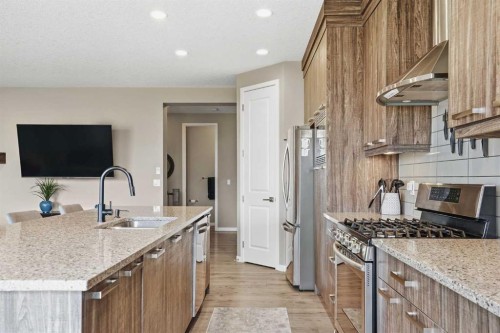 296 Walden Parade Se, Calgary, AB - Indoor Photo Showing Kitchen With Upgraded Kitchen