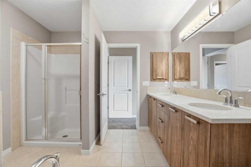 296 Walden Parade Se, Calgary, AB - Indoor Photo Showing Bathroom