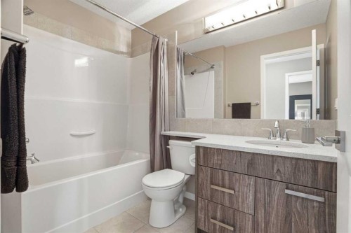 296 Walden Parade Se, Calgary, AB - Indoor Photo Showing Bathroom