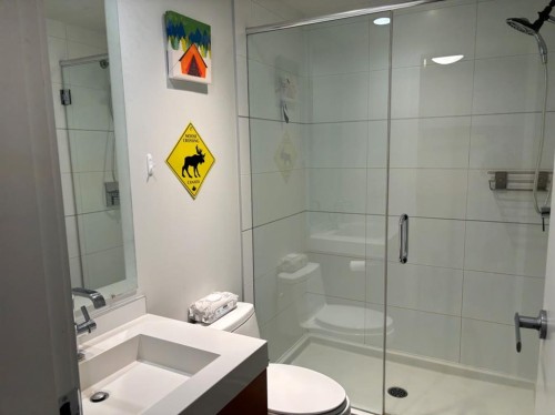 336-222 Riverfront Avenue Sw, Calgary, AB - Indoor Photo Showing Bathroom