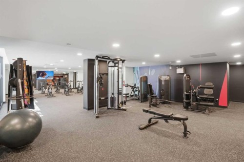 309-310 15 Avenue Sw, Calgary, AB - Indoor Photo Showing Gym Room