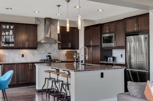 55 Evanspark Circle Nw, Calgary, AB - Indoor Photo Showing Kitchen With Stainless Steel Kitchen With Upgraded Kitchen