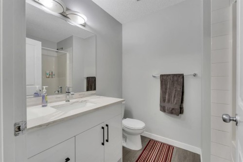 257 Saddlebrook Point Ne, Calgary, AB - Indoor Photo Showing Bathroom