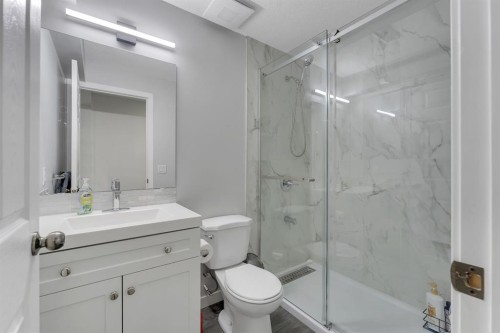 257 Saddlebrook Point Ne, Calgary, AB - Indoor Photo Showing Bathroom
