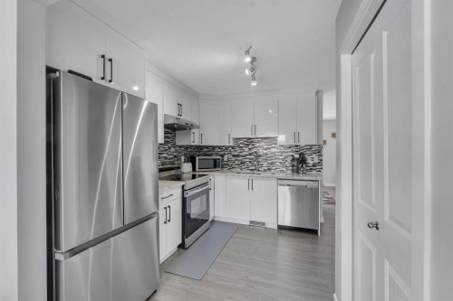 257 Saddlebrook Point Ne, Calgary, AB - Indoor Photo Showing Kitchen With Stainless Steel Kitchen With Upgraded Kitchen