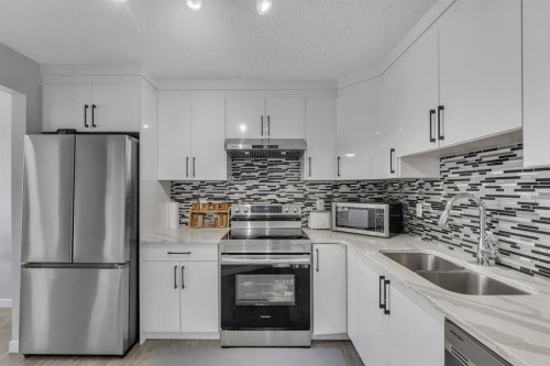 257 Saddlebrook Point Ne, Calgary, AB - Indoor Photo Showing Kitchen With Stainless Steel Kitchen With Double Sink With Upgraded Kitchen