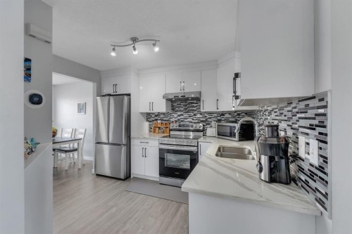 257 Saddlebrook Point Ne, Calgary, AB - Indoor Photo Showing Kitchen With Stainless Steel Kitchen With Double Sink With Upgraded Kitchen