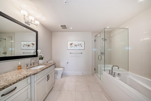 404-211 Quarry Way Se, Calgary, AB - Indoor Photo Showing Bathroom