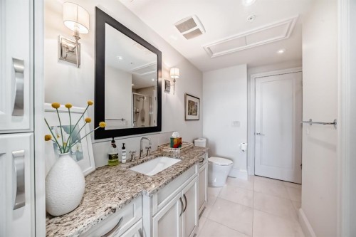 404-211 Quarry Way Se, Calgary, AB - Indoor Photo Showing Bathroom