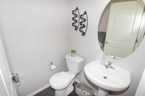 48 Skyview Ranch Lane Ne, Calgary, AB - Indoor Photo Showing Bathroom