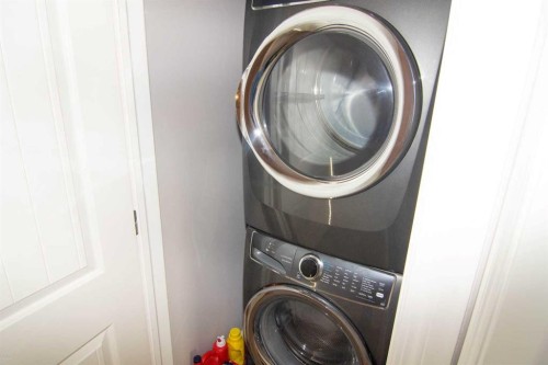 48 Skyview Ranch Lane Ne, Calgary, AB - Indoor Photo Showing Laundry Room