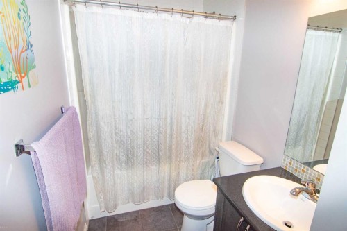 48 Skyview Ranch Lane Ne, Calgary, AB - Indoor Photo Showing Bathroom