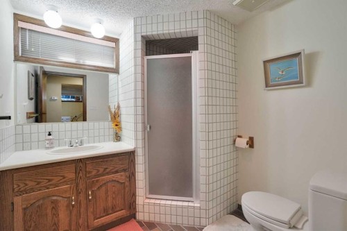 228 Dovercrest Place Se, Calgary, AB - Indoor Photo Showing Bathroom