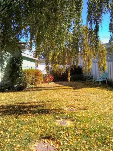 228 Dovercrest Place Se, Calgary, AB - Outdoor