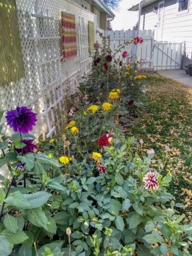 228 Dovercrest Place Se, Calgary, AB - Outdoor