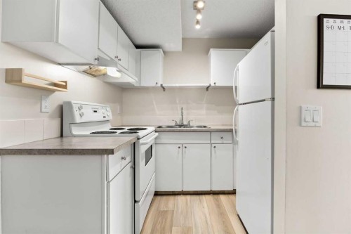 215-101 Big Hill Way Se, Airdrie, AB - Indoor Photo Showing Kitchen With Double Sink