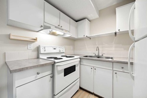 215-101 Big Hill Way Se, Airdrie, AB - Indoor Photo Showing Kitchen With Double Sink