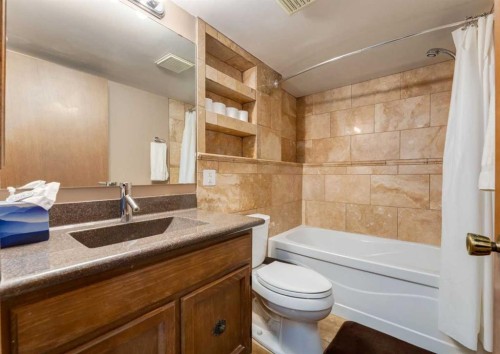 223 Cedarwood Road Sw, Calgary, AB - Indoor Photo Showing Bathroom