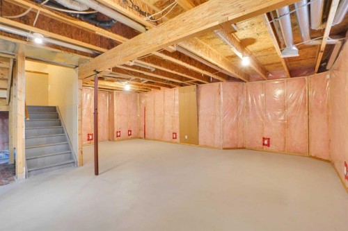 50 Cranfield Crescent Se, Calgary, AB - Indoor Photo Showing Basement