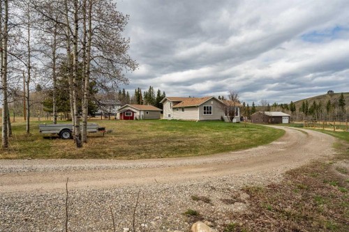 370 16 Avenue, Diamond Valley, AB - Outdoor