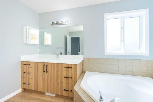 8454 Saddleridge Drive Ne, Calgary, AB - Indoor Photo Showing Bathroom