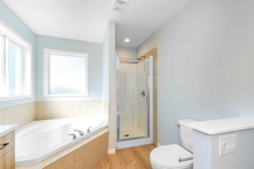 8454 Saddleridge Drive Ne, Calgary, AB - Indoor Photo Showing Bathroom