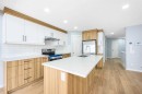 8454 Saddleridge Drive Ne, Calgary, AB  - Indoor Photo Showing Kitchen With Double Sink With Upgraded Kitchen 