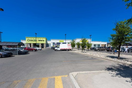 8454 Saddleridge Drive Ne, Calgary, AB - Outdoor