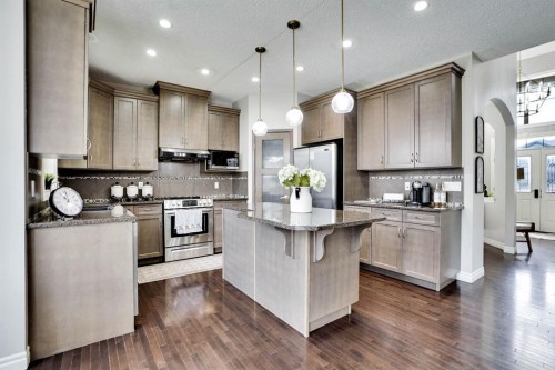 117 Hawkmere Place, Chestermere, AB - Indoor Photo Showing Kitchen With Upgraded Kitchen