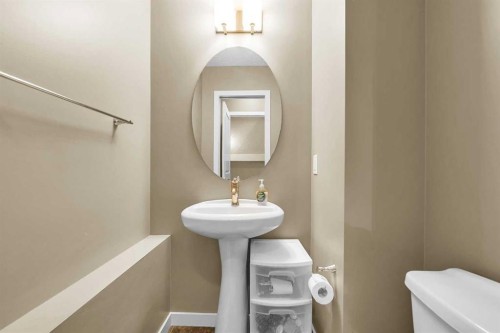 176 Skyview Point Green Ne, Calgary, AB - Indoor Photo Showing Bathroom