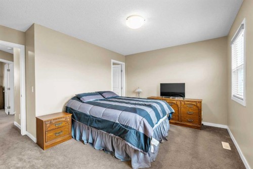 176 Skyview Point Green Ne, Calgary, AB - Indoor Photo Showing Bedroom