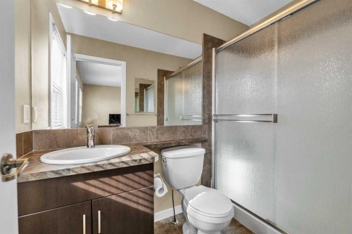176 Skyview Point Green Ne, Calgary, AB - Indoor Photo Showing Bathroom
