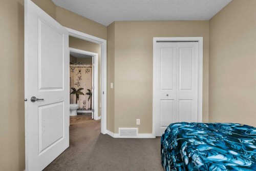 176 Skyview Point Green Ne, Calgary, AB - Indoor Photo Showing Bedroom