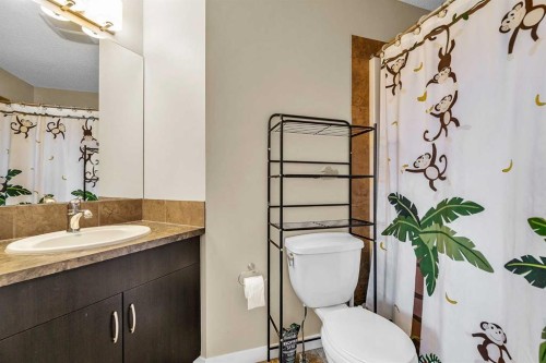 176 Skyview Point Green Ne, Calgary, AB - Indoor Photo Showing Bathroom