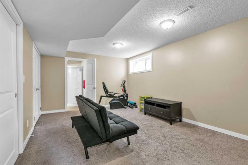 176 Skyview Point Green Ne, Calgary, AB - Indoor Photo Showing Gym Room