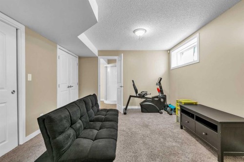 176 Skyview Point Green Ne, Calgary, AB - Indoor