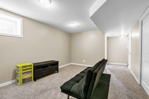 176 Skyview Point Green Ne, Calgary, AB - Indoor