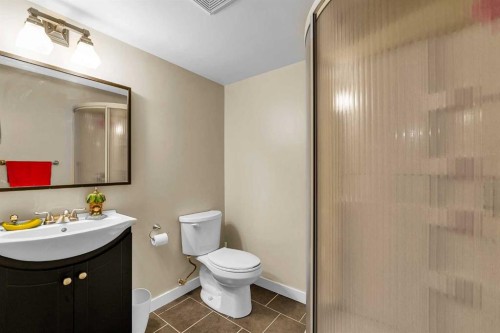 176 Skyview Point Green Ne, Calgary, AB - Indoor Photo Showing Bathroom