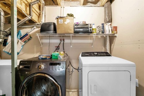 176 Skyview Point Green Ne, Calgary, AB - Indoor Photo Showing Laundry Room