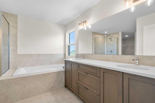675 Buffaloberry Manor Se, Calgary, AB - Indoor Photo Showing Bathroom