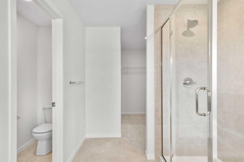 675 Buffaloberry Manor Se, Calgary, AB - Indoor Photo Showing Bathroom