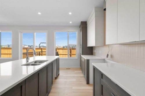 675 Buffaloberry Manor Se, Calgary, AB - Indoor Photo Showing Kitchen With Double Sink