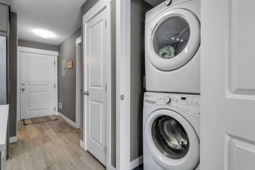 6412-302 Skyview Ranch Drive Ne, Calgary, AB - Indoor Photo Showing Laundry Room