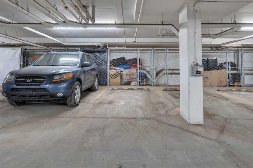 6412-302 Skyview Ranch Drive Ne, Calgary, AB - Indoor Photo Showing Garage